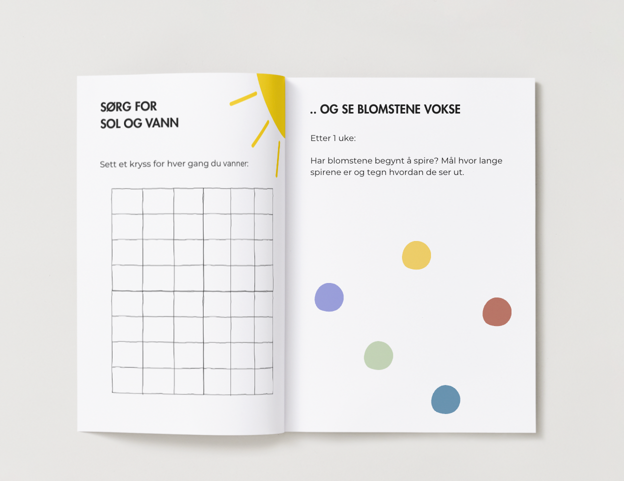 Vårpakke! Blomsterkuler + aktivitetsbok