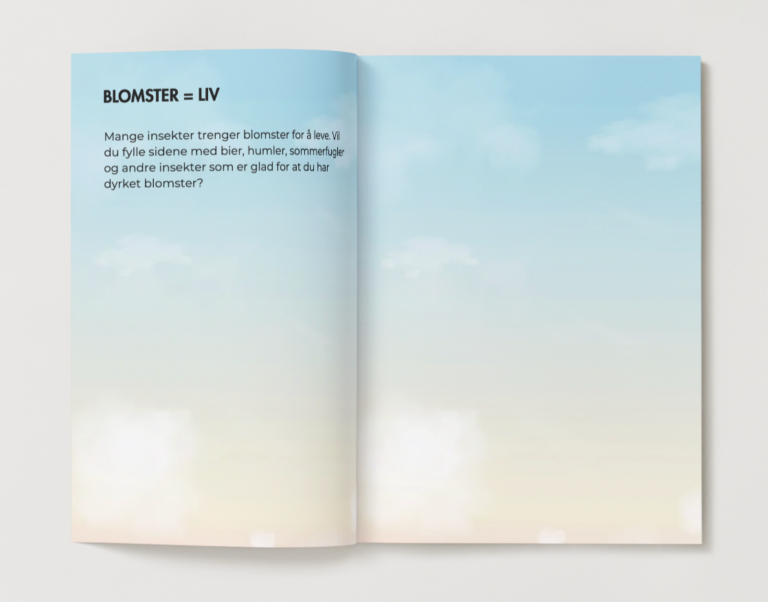 Vårpakke! Blomsterkuler + aktivitetsbok